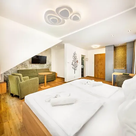 Wellness Zaton Hotel Vetrni