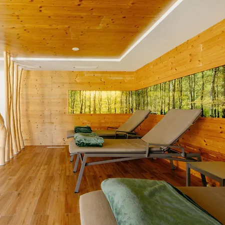 Wellness Zaton Hotel 4*